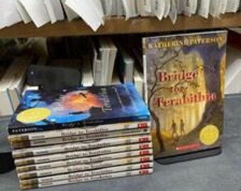 Classroom Set of 10 Bridge to Terabithia by Katherine Paterson, Teacher Set, Classroom Reading, Middle Chapter, Kids Novel, Education, Group
