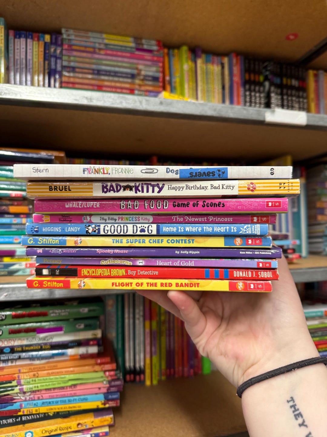 Early Chapter Book Lot: Gently Used Kid's Readers, You Pick 10-30 - Etsy