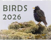 Birds calendar 2026, A3 wall calendar, wall calendar 2026, Christmas gift, New Year