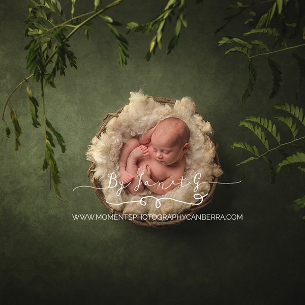 Newborn Digital Backdrop, Newborn Digital Background, Ferns, Natural, Green, Newborn Boy, Newborn Girl, Newborn Prop