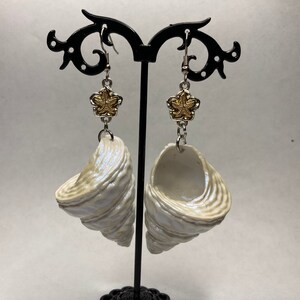 Large Turban Shell Beachy Dangle Earrings
