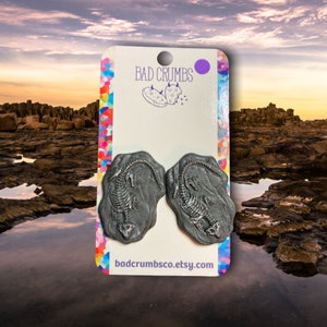 May include: A pair of grey dinosaur fossil earrings on a white card with the text "BAD CRUMBS" and a website address. The card is against a backdrop of rocks and water.