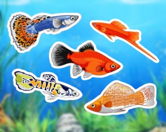 3" Fish Stickers 5 Pack - Guppy, Molly, Platy, Swordtail and Tiger Endler - Waterproof, UV Resistant, Dishwasher Safe, Die-Cut, Matte Vinyl
