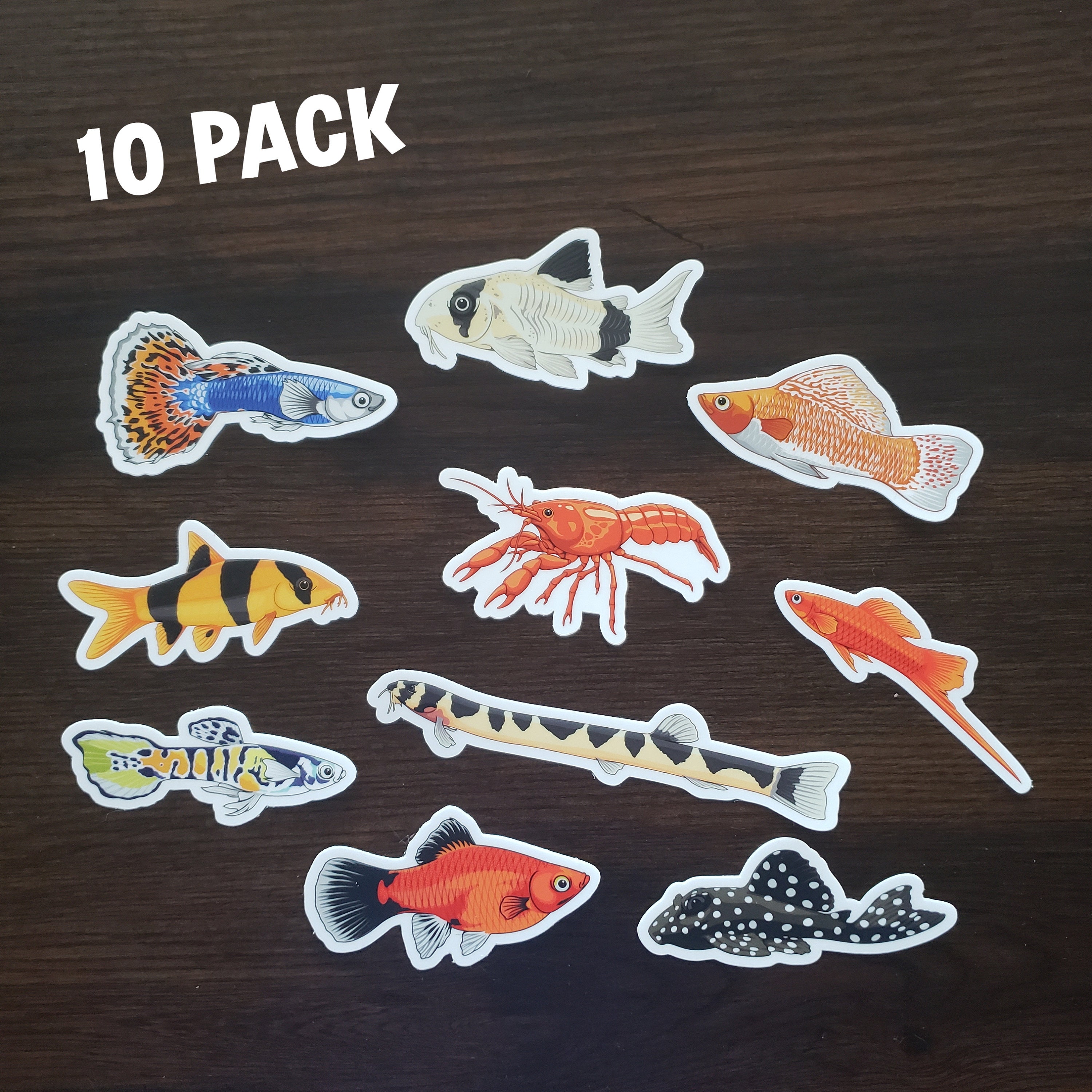 Autocollant TIMA Pêche – Sticker Adhésif Collection, Poissons Et Appâts