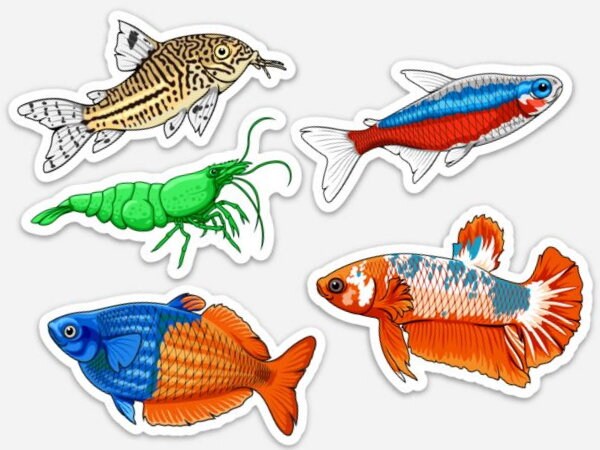 Assam Fish Sticker 5 Pack Fish Stickers - Waterproof, UV Resistant, Dishwasher Safe, Die ...