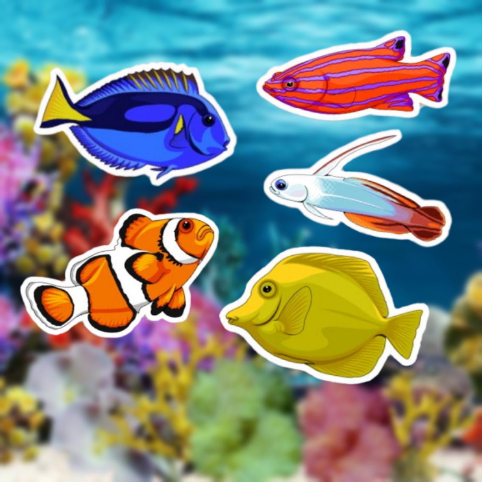 Saltwater Fish Stickers 5 Pc. 3 Stickers, Matte Vinyl, Waterproof, Sun