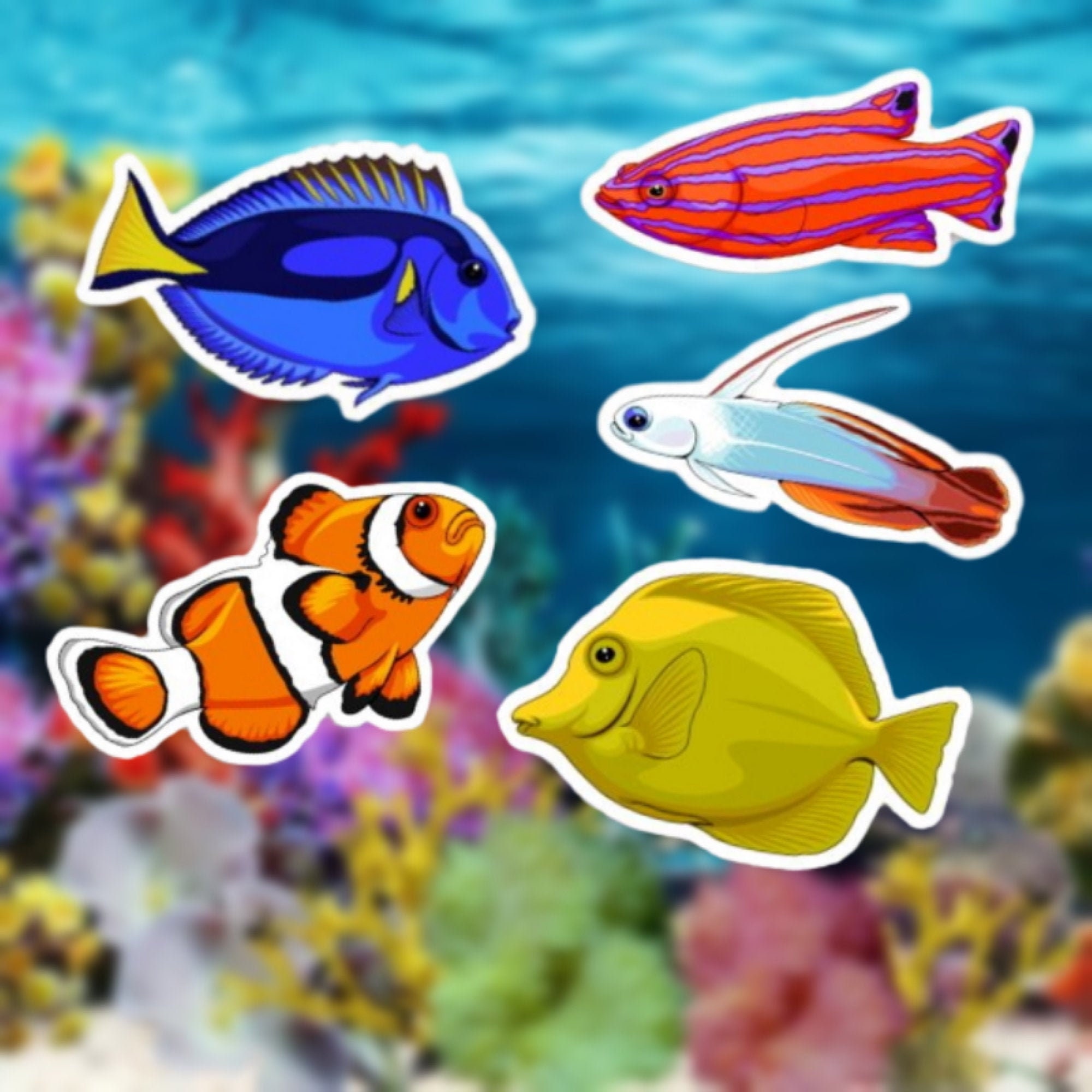 Science Fish Sticker Saltwater Fish Stickers - 5 Pc. 3