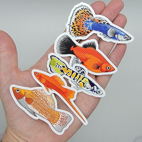 3 Fish Stickers 5 Pack - Guppy, Molly, Platy, Swordtail and Tiger Endler -  Waterproof, UV Resistant, Dishwasher Safe, Die-Cut, Matte Vinyl