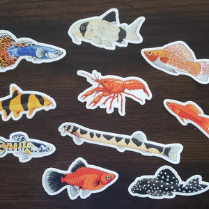 Fish Sticker Packs - Waterproof, UV Resistant, Dishwasher Safe, Die-Cut, Matte Vinyl Aquarium Fish Stickers Perfect For Fishkeepers!
