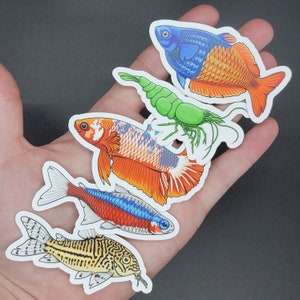 5 Pack Fish Stickers - Waterproof, UV Resistant, Dishwasher Safe, Die-Cut, 3&quot; Matte Vinyl Aquarium Fish Stickers
