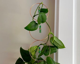 Triple Circle Crystal Trellis | Plant Trellis