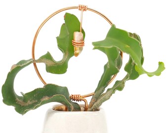 Circle Crystal Trellis (Small) | Plant Trellis