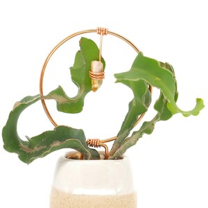 Circle Crystal Trellis (Small) | Plant Trellis