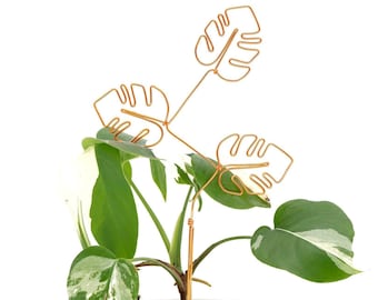 Monstera Leaves Trellis | Plant Trellis