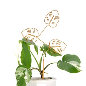 May include: A white ceramic pot with a light brown saucer, containing a green and white variegated plant with a gold wire plant support shaped like monstera leaves.