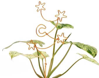 Plants - Etsy