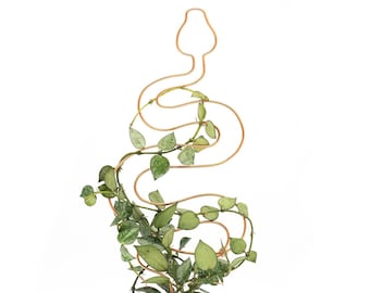 Snake Trellis | Plant Trellis
