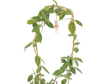 U-Crystal Trellis (Large) | Plant Trellis