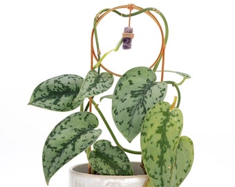 Safety Pin Trellis | Plant Trellis