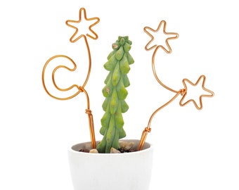 Star and Moon Trellis Set | Plant Trellis