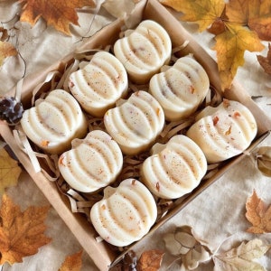 LIMITED *** Fall Scented Pumpkin Wax Melts, Pumpkin Shaped Wax Melts, Fall Decor, Pumpkin Scented Candle