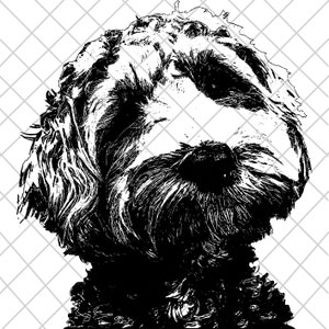 Goldendoodle SVG, Dog Silhouettes, Dogs SVG, Vector file,  Instant Download Svg, Jpg, Png, Goldendoodle Print, Dog SVG for t shirt print