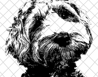 Goldendoodle Dog Silhouette SVG, PNG, JPG (Instant Download)