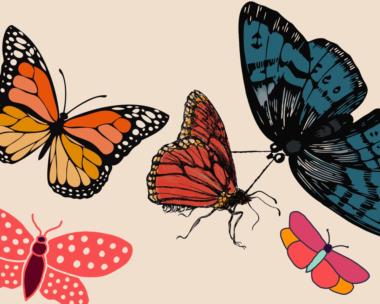 butterfly procreate stamp free