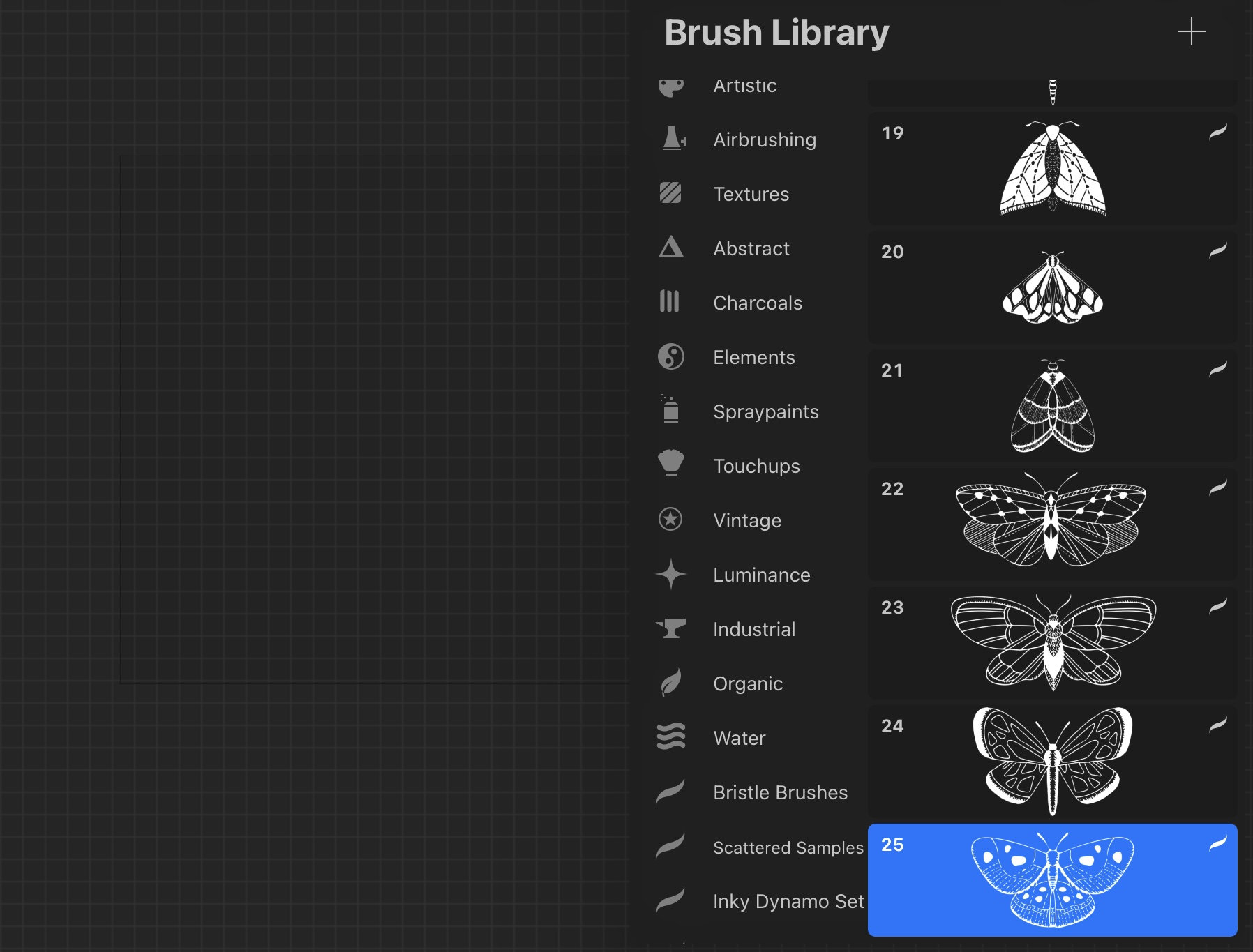 Procreate Bug Stamps Procreate Insect Stamps Procreate Outdoor Stamps