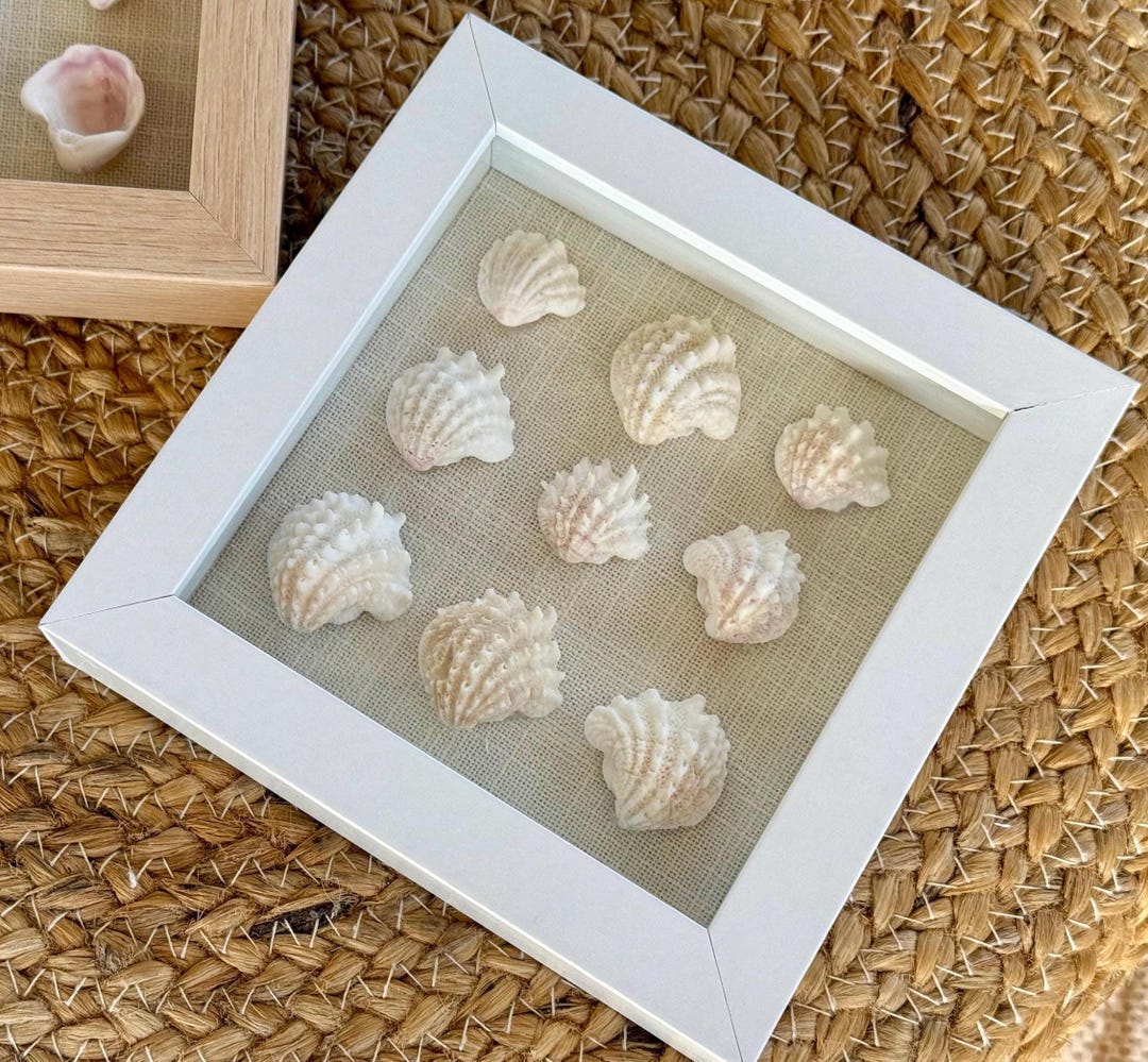 Sea Shell Shadow Box I Beach Decor I Shell Art I Boho Decor I Wall ...