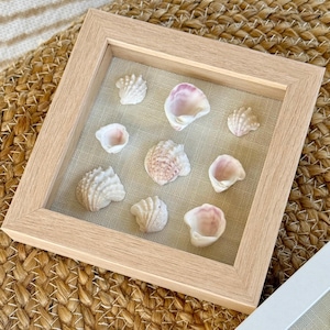 Può includere: Una cornice in legno chiaro con una collezione di conchiglie bianche e rosa. Le conchiglie sono disposte su uno sfondo di lino beige. L'insieme evoca un tema costiero e decorativo.