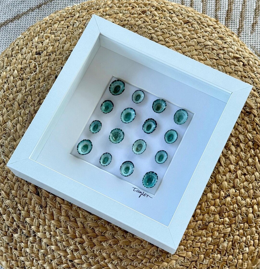 Sea Shell Shadow Box I Beach Decor I Shell Art I Boho Decor I Wall ...