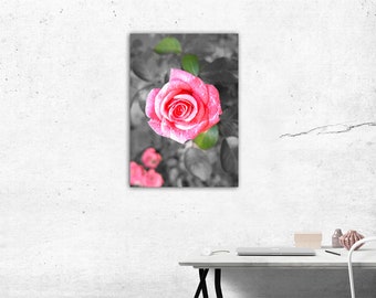 regalo per lei, arte della parete di tela, appeso a parete, tela, decorazione murale, arte della parete, arredamento per la casa, romantico, rosa, tela senza telaio, rosa natura, rosa