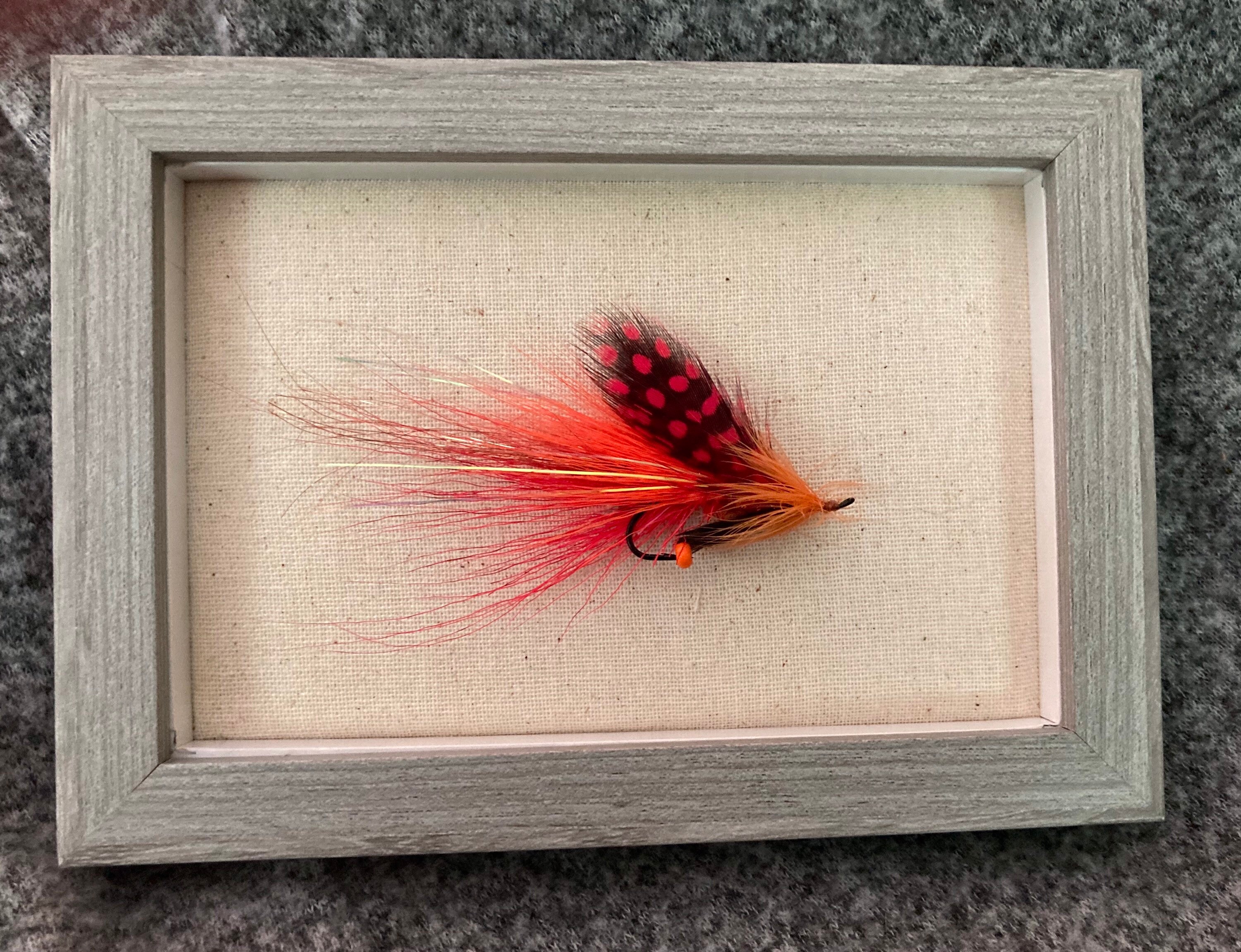 Fly Fish Feather 