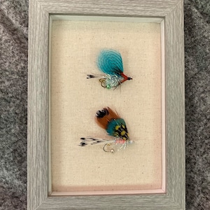 Due piccoli spilli Shadow Box