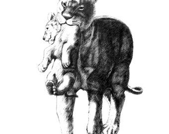 Madre León (Leona) y su cachorro bebé impresión, arte de mascotas, dibujo a lápiz animal, arte de bocetos