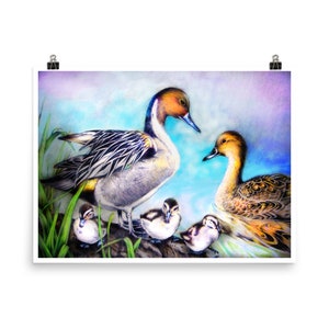 Pintail Duck Family Art Print,, Wall Art Prints, Posters and Prints, Giclee Art Print, Love and Family Wall Poster