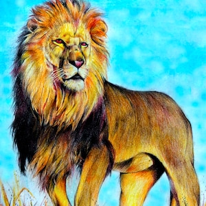 Impresión de arte del rey león Simba, obra de arte de león dibujado a mano, cartel de dibujo a lápiz de colores, arte de pared, decoración de la pared de animales