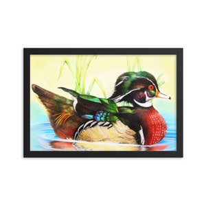 Duck Print, Wood Duck Framed Wall Art, Original Hand-Drawn Duck Print, Duck Decoration for Home, Duck Art Print, Colorful Bird Prints Framed