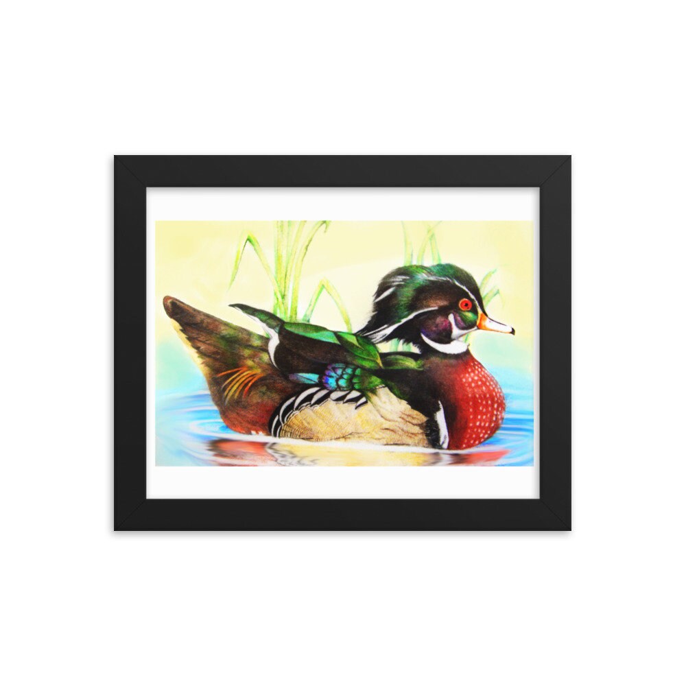 Buy Duck Print, Wood Duck Framed Wall Art, Original Hand-drawn Duck