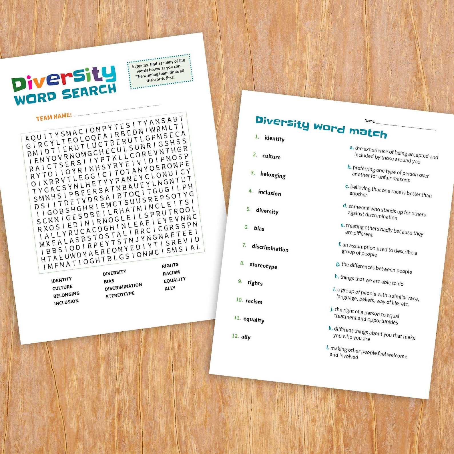 Diversity Vocab and Activities