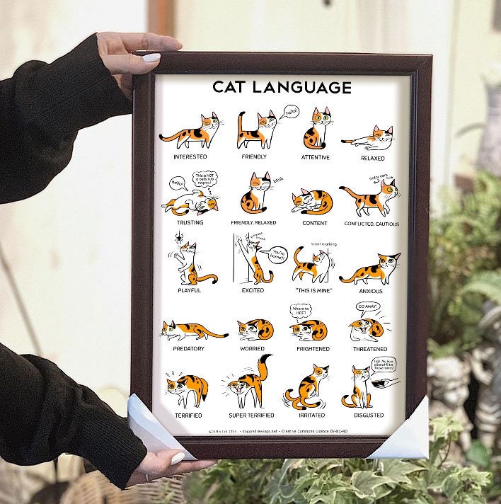 Cat Language Poster, Cat Printable Wall Art, Cats Sketch Art Print ...