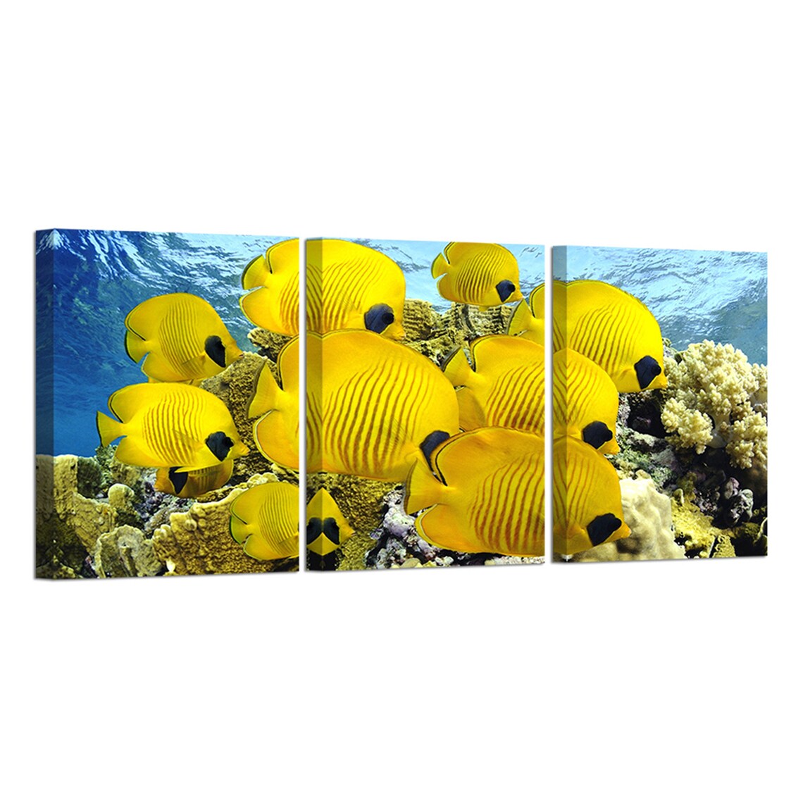 VisualBeautyArt Tropical Fish Wall Art Painting Yellow Fish Etsy