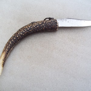 Antique Horn Folding Knife image 10