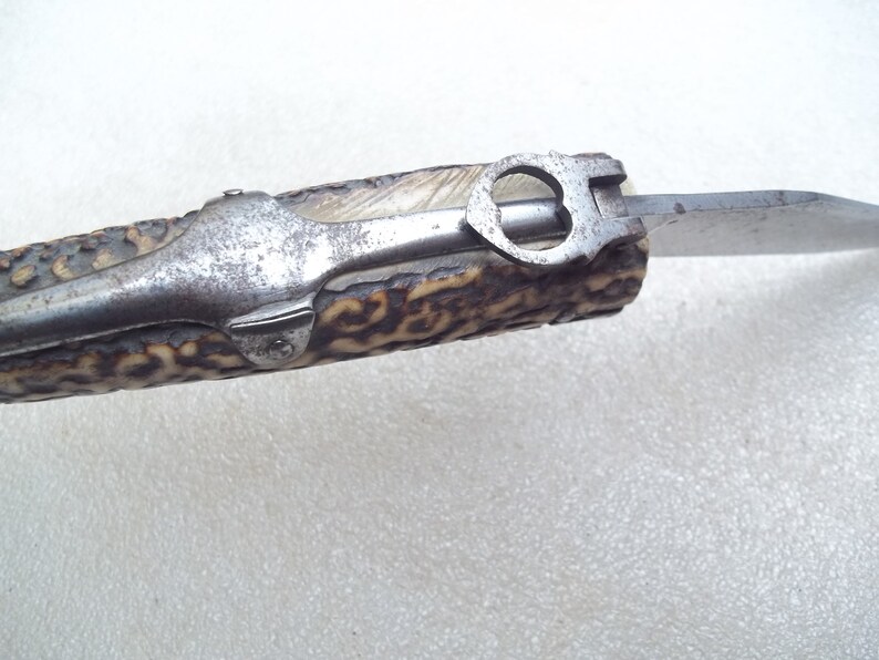 Antique Horn Folding Knife image 5