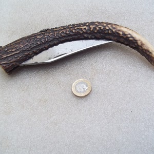 Antique Horn Folding Knife image 4