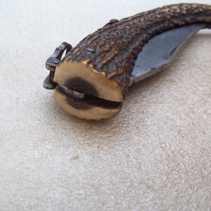 Antique Horn Folding Knife image 7