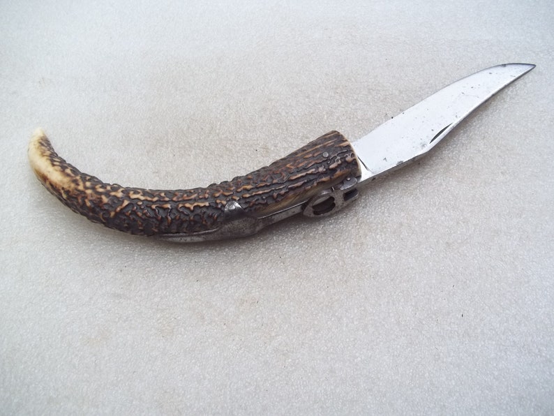 Antique Horn Folding Knife image 8