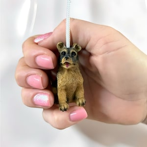 Brun terrier hund ljusdrag med snöre och kontakt