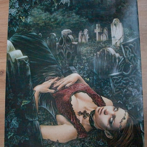 May include: A gothic art print featuring a woman in a red dress lying in a graveyard. The background shows a castle under a moonlit sky. The artwork has a dark, romantic theme with detailed imagery.
